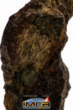 08933 -Top Rare NWA IMB Impact Melt Breccia Chondrite Meteorite Polished Section 1.64 g