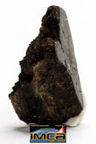 08934 -Top Rare NWA IMB Impact Melt Breccia Chondrite Meteorite Polished Section 0.85 g
