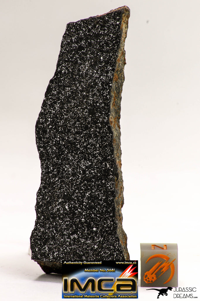 08935 -Top Rare NWA Polished Section of Enstatite Chondrite EL6 46 g