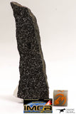 08936 -Top Rare NWA Polished Section of Enstatite Chondrite EL6 26.4 g