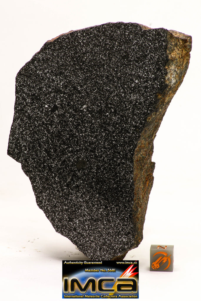 08954 -Top Rare Museum Grade NWA Polished Section of Enstatite Chondrite EL6 388.6 g with Fusion Crust