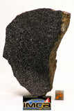 08954 -Top Rare Museum Grade NWA Polished Section of Enstatite Chondrite EL6 388.6 g with Fusion Crust