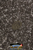 08954 -Top Rare Museum Grade NWA Polished Section of Enstatite Chondrite EL6 388.6 g with Fusion Crust