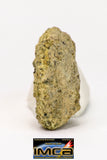08956 - Fragment 2.501 g NWA Unclassified Diogenite Achondrite Meteorite
