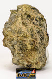 08957 - Fragment 1.829 g NWA Unclassified Diogenite Achondrite Meteorite