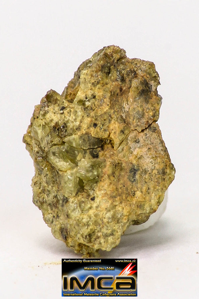 08964 - Fragment 0.432 g NWA Unclassified Diogenite Achondrite Meteorite