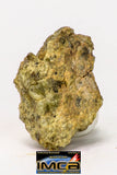08964 - Fragment 0.432 g NWA Unclassified Diogenite Achondrite Meteorite