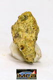 08966 - Fragment 0.223 g NWA Unclassified Diogenite Achondrite Meteorite