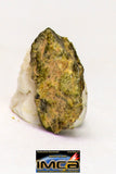 08969 - Fragment 0.158 g NWA Unclassified Diogenite Achondrite Meteorite