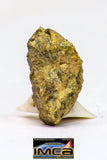 08971 - Fragment 0.187 g NWA Unclassified Diogenite Achondrite Meteorite