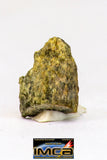 08972 - Fragment 0.185 g NWA Unclassified Diogenite Achondrite Meteorite