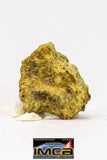 08973 - Fragment 0.134 g NWA Unclassified Diogenite Achondrite Meteorite