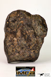 08994 - Almost Complete NWA Unclassified Ordinary Chondrite Meteorite 1338 g