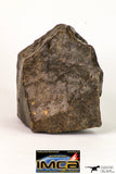 08997 - Almost Complete NWA Unclassified Ordinary Chondrite Meteorite 714 g