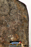 08997 - Almost Complete NWA Unclassified Ordinary Chondrite Meteorite 714 g