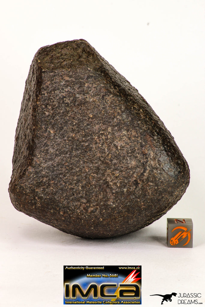 08998 - Complete NWA Unclassified Ordinary Chondrite Meteorite 554.1 g
