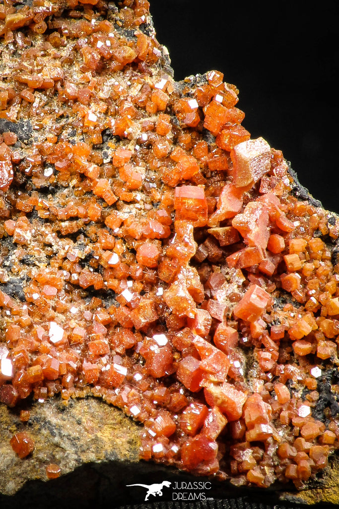 06260 -  Beautiful Red Vanadinite Crystals Cluster from Mibladen Mining District, Midelt Province, Morocco