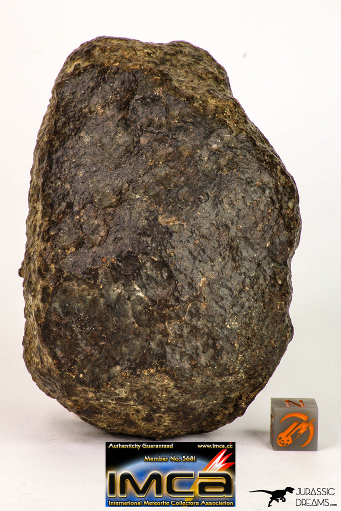 08999 - Almost Complete NWA Unclassified Ordinary Chondrite Meteorite 584.7 g