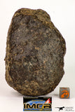 08999 - Almost Complete NWA Unclassified Ordinary Chondrite Meteorite 584.7 g