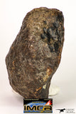 08999 - Almost Complete NWA Unclassified Ordinary Chondrite Meteorite 584.7 g