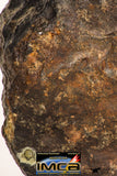 08999 - Almost Complete NWA Unclassified Ordinary Chondrite Meteorite 584.7 g