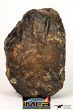08999 - Almost Complete NWA Unclassified Ordinary Chondrite Meteorite 584.7 g