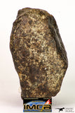08999 - Almost Complete NWA Unclassified Ordinary Chondrite Meteorite 584.7 g