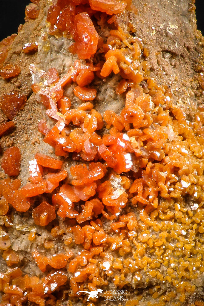 06262 -  Beautiful Red Vanadinite Crystals Cluster from Mibladen Mining District, Midelt Province, Morocco