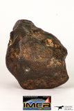 09001 - Almost Complete NWA Unclassified Ordinary Chondrite Meteorite 317.4 g