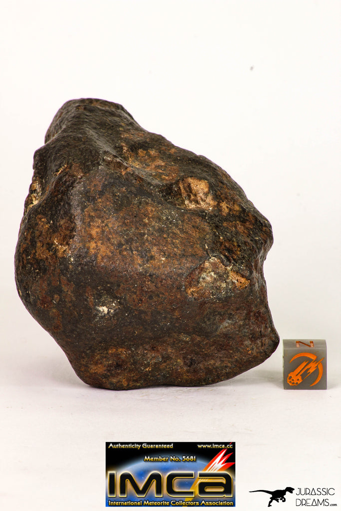 09001 - Almost Complete NWA Unclassified Ordinary Chondrite Meteorite 317.4 g