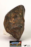 09001 - Almost Complete NWA Unclassified Ordinary Chondrite Meteorite 317.4 g