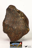 09001 - Almost Complete NWA Unclassified Ordinary Chondrite Meteorite 317.4 g
