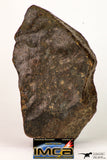 09002 - Almost Complete NWA Unclassified Ordinary Chondrite Meteorite 538.4 g