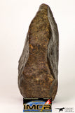 09002 - Almost Complete NWA Unclassified Ordinary Chondrite Meteorite 538.4 g