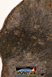 09002 - Almost Complete NWA Unclassified Ordinary Chondrite Meteorite 538.4 g