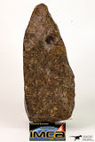 09002 - Almost Complete NWA Unclassified Ordinary Chondrite Meteorite 538.4 g