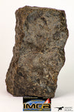 09003 - Almost Complete NWA Unclassified Ordinary Chondrite Meteorite 522.1 g