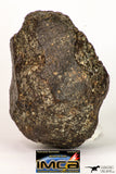 09004 - Almost Complete NWA Unclassified Ordinary Chondrite Meteorite 368.1 g