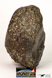 09004 - Almost Complete NWA Unclassified Ordinary Chondrite Meteorite 368.1 g