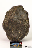 09004 - Almost Complete NWA Unclassified Ordinary Chondrite Meteorite 368.1 g