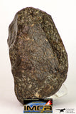 09004 - Almost Complete NWA Unclassified Ordinary Chondrite Meteorite 368.1 g