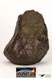 09006 - Almost Complete NWA Unclassified Ordinary Chondrite Meteorite 428.6 g