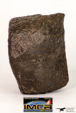 09007 - Almost Complete NWA Unclassified Ordinary Chondrite Meteorite 375.6 g
