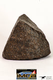 09007 - Almost Complete NWA Unclassified Ordinary Chondrite Meteorite 375.6 g