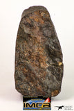 09008 - Almost Complete NWA Unclassified Ordinary Chondrite Meteorite 457.2 g