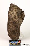 09009 - Almost Complete NWA Unclassified Ordinary Chondrite Meteorite 467.1 g
