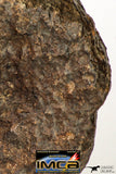 09009 - Almost Complete NWA Unclassified Ordinary Chondrite Meteorite 467.1 g