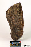 09009 - Almost Complete NWA Unclassified Ordinary Chondrite Meteorite 467.1 g