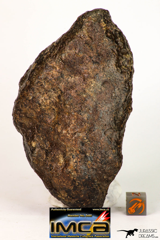 09009 - Almost Complete NWA Unclassified Ordinary Chondrite Meteorite 467.1 g