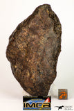 09009 - Almost Complete NWA Unclassified Ordinary Chondrite Meteorite 467.1 g